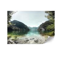 Fototapeta Flizelinowa Premium - 250 X 175 Cm - Styl Klasyczny - Natura