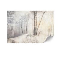 Fototapeta Flizelinowa Premium - 250 X 175 Cm - Styl Klasyczny - Natura