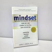 Mąstysena Naujoji Sėkmės Psichologija Anglų Knyga, aut. Carol S. Dweck Užsienio literatūros įkvepianti knyga 1 book