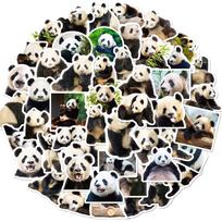 50 Panda Realistiški Lipdukai Mielas Didžioji Panda Gėlė Emocija Paketo Lipdukai Kompiuterio Mobiliojo Telefono Vandens Puodelio Lipdukai