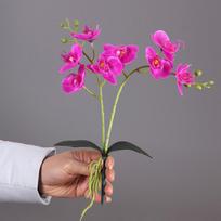 Phalaenopsis Bonsai Artificial Flower Set for Indoor Display