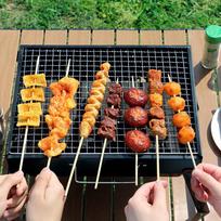 Portable Reusable BBQ Grill