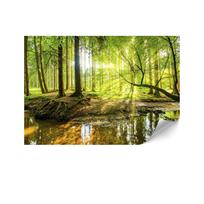 Fototapeta Flizelinowa Standard - 250 X 175 Cm - Styl Eklektyczny - Natura
