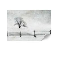 Fototapeta Flizelinowa Standard - 250 X 175 Cm - Styl Minimalistyczny - Natura