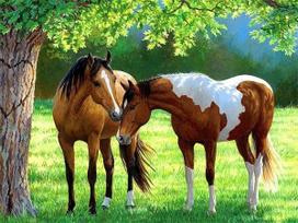 Full Square/Round Diamond Painting Mosaic Horse Tree Home Decor Embroidery Animal Handmade Gift Wall Decor Full Round 20x30CM