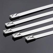 Rendian 304 Stainless Steel Self-Locking Cable Ties 10x500mm