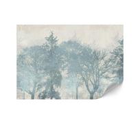 Fototapeta Flizelinowa Premium - 250 X 175 Cm - Styl Rustykalny - Natura