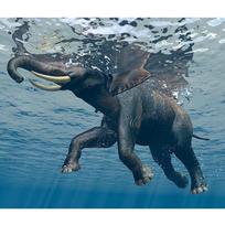 5D DIY Diamond Painting Art Full Drill Elephant Pictures Embroidery Mosaic Cross Stitch 20X30CM