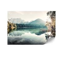 Fototapeta Flizelinowa Premium - 250 X 175 Cm - Styl Klasyczny - Natura