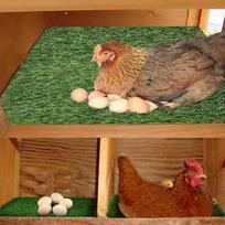 Chicken Nest Box Pads Artificial Grass Rug Carpet Coop Accessories Bedding Mats Style A
