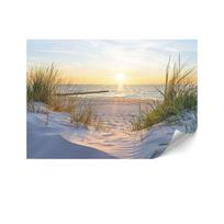 Fototapeta Flizelinowa Standard - 200 X 140 Cm - Styl Eklektyczny - Natura
