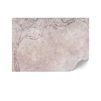 Fototapeta Flizelinowa Standard - 200 X 140 Cm - Styl Shabby Chic - Tła I Desenie