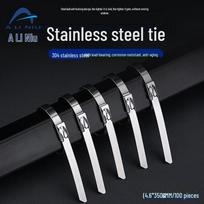 ABZ99 304 Stainless Steel Self-Locking Cable Ties