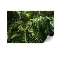 Fototapeta Flizelinowa Standard - 250 X 175 Cm - Styl Jungle - Natura
