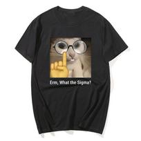 Erm, What Sigma? Funny Meme T-shirt For Men Women Silly Cat Humor Printed Fashion Tops O-Neck Cute Oversize Streetwear XS juoda