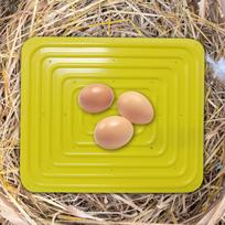 Chicken Nest Pad Coop Mat Easy Clean Box Liner Bedding for Yellow