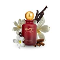 House Of Evorah Velvet Vanilla Moteriškas Eau De Parfum (25 ml) – Vanilės kvepalai moterims, ilgai išliekantis aromatas 25ML