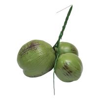 Realistic ABS Plastic Coconuts Replicas Artificial Fruit Perfect For Studio Photography And Themed Parties