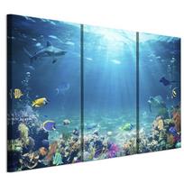 Obraz Na Płótnie Włoskim 135 X 90 Cm Tryptyk - Zwierzęta