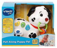 Vtech  Šuniukas su virvute (Anglų kalba)