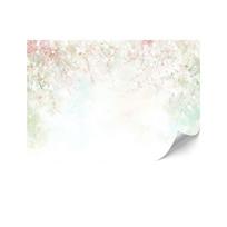 Fototapeta Flizelinowa Premium - 250 X 175 Cm - Styl Eklektyczny - Kwiaty