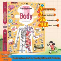 Our Body 3D Pop-up Book