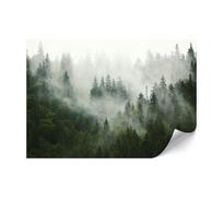 Fototapeta Flizelinowa Standard - 250 X 175 Cm - Styl Eklektyczny - Natura