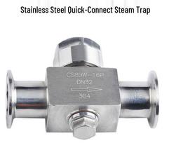 Dalan Quick-Install 304 Stainless Steel Disc Steam Trap Standard