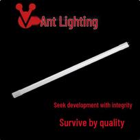 Ant Lighting Energy-Efficient LED T8 Tube Light 18W