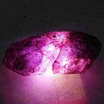 Huge Size Purple Sapphire Rough 298.80 Ct Natural Uncut Loose Gemstone CERTIFIED 63 mm approx violetinė