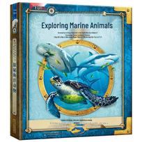 Children's Explore Ocean Animals 3D Pop-Up Puzzle Book