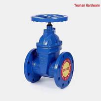Chiweng Z45X Non-rising Soft Seal Flange Gate Valve
