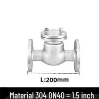 Langsaizebo Stainless Steel Flange Swing Check Valve