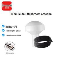 GPS+BeiDou Timing Mushroom Antenna 30 meters