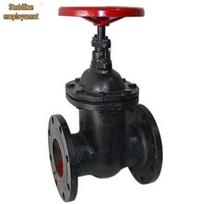 Wengong Z45T-16 Gray Cast Iron Flange Gate Valve DN100