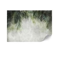 Fototapeta Flizelinowa Standard - 250 X 175 Cm - Styl Boho - Natura