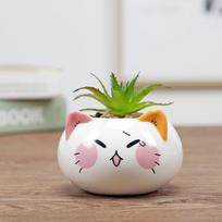 Planter Ornament Ceramics Cartoon Garden Supplies Bonsai Accessories Succulent Potted Flowerpot 4