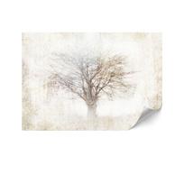 Fototapeta Flizelinowa Premium - 250 X 175 Cm - Natura