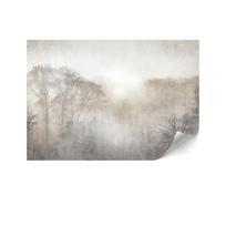 Fototapeta Flizelinowa Standard - 250 X 175 Cm - Natura