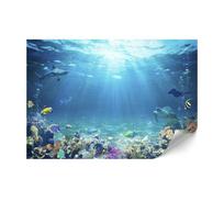 Fototapeta Flizelinowa Premium - 250 X 175 Cm - Zwierzęta