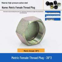 Carbon Steel External Hex Internal Thread Pipe Cap Plug
