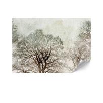 Fototapeta Flizelinowa Premium - 250 X 175 Cm - Styl Modernistyczny - Natura