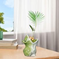 Bonsai sodinukų pieštukų laikiklis rašomasis stalas. žalia