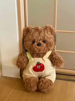 Bear Plush Toy Overalls Doll Doll Clothing Doll Doll Doll Girls Birthday Gift Sitting Height 25cm Total Length 30cm 0.25kg