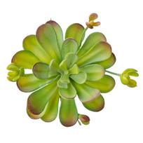 Real Touch Artificial Succulent Plant Fleshy Simulation Bonsai Plant  Balcony Decoration Style 1