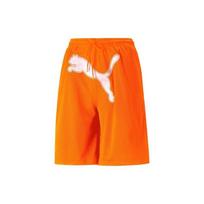 Puma X Dua Lipa Collaboration Large Logo Mesh Straight Leg Casual Sports Shorts Women shorts Orange 536636-86 S