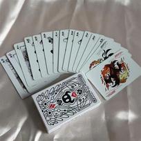 Knight Hollow Standard Poker Card Decor Anime Character Enthusiasts Gift Party Prop Portable Creative Board Game Gift Collection