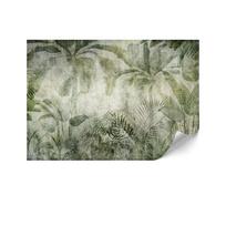 Fototapeta Flizelinowa Premium - 250 X 175 Cm - Styl Boho - Natura