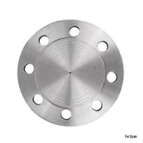 Deyu Carbon Steel Blind Flange