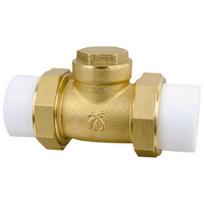 PPR Brass Hot-Melt Double Union Check Valve